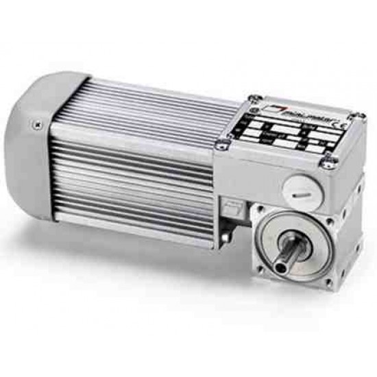 Мотор-Редуктор BC2000/T  i=60, B3, 20W, AC/T,  n2= 46rpm