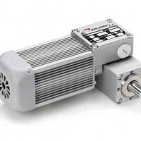 Мотор-Редуктор BC2000/T  i=45, B3, 20W, AC/T, n2=62rpm